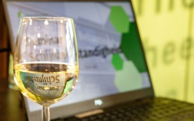 Seminar schijnzelfstandigheid – Een geslaagde avond!